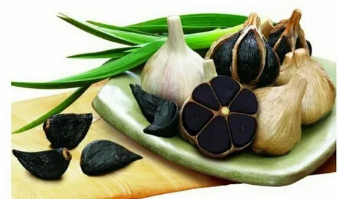 ستاره دخت؛ کیفیتی که لمس می‌کنید