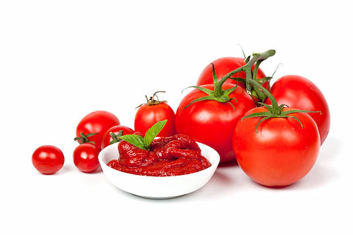 رب گوجه فرنگی عمده فروشی