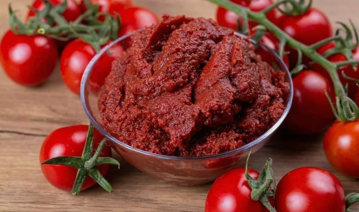 رب گوجه فرنگی صادراتی