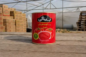 رب گوجه فرنگی اسبق با بسته بندی ایمن برای ارسال