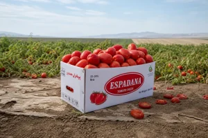 رب گوجه فرنگی اسپادانا راهنمای قیمت روز و زمان مناسب خرید