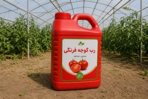 رب گوجه فرنگی معیارهای انتخاب نوع مناسب آشپزی